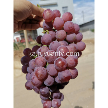 2019 ახალი წითელი ყურძენი